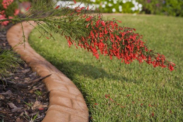 Brick Edging in Lenexa
